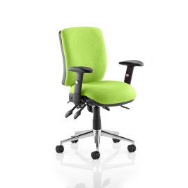 Chiro Medium Back Bespoke Colour myrrh Green